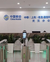 MK体育登录入口-“四个季度考核都是C，年度考核等级D”女子差1分合格，失去12.9万年终奖，仲裁赢了官司输了已上诉